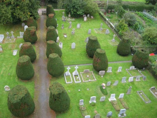 Churchyard